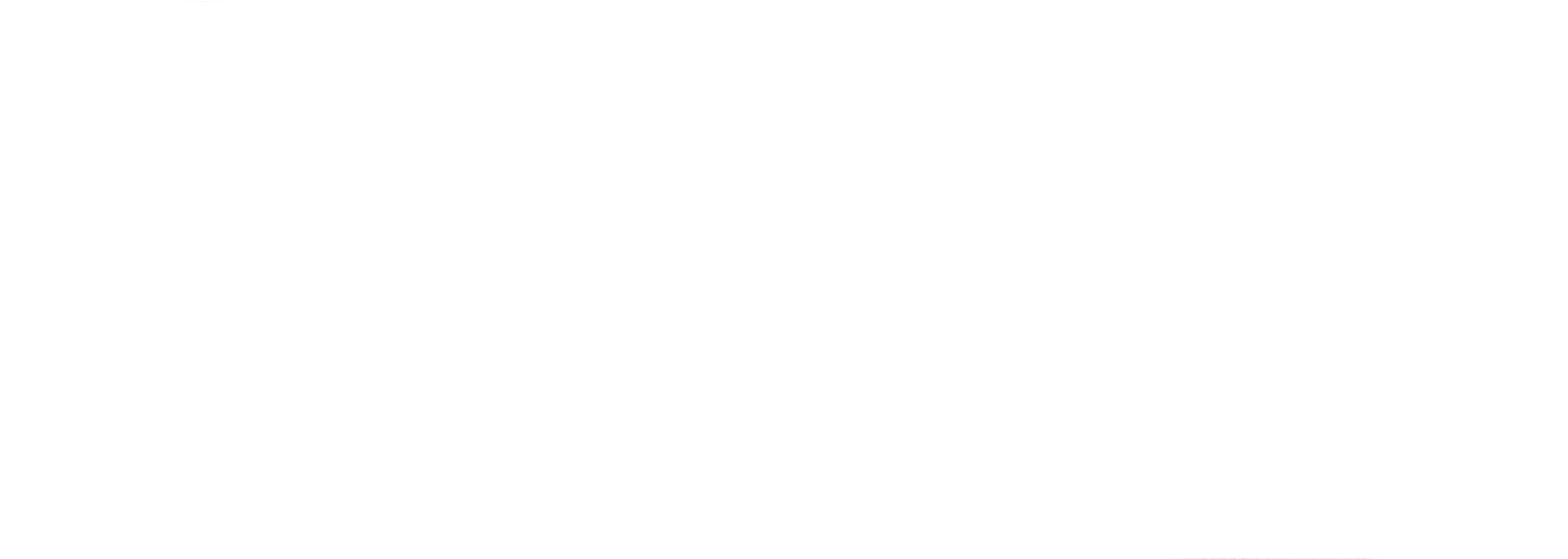 CINECA  Quantum Computing Lab